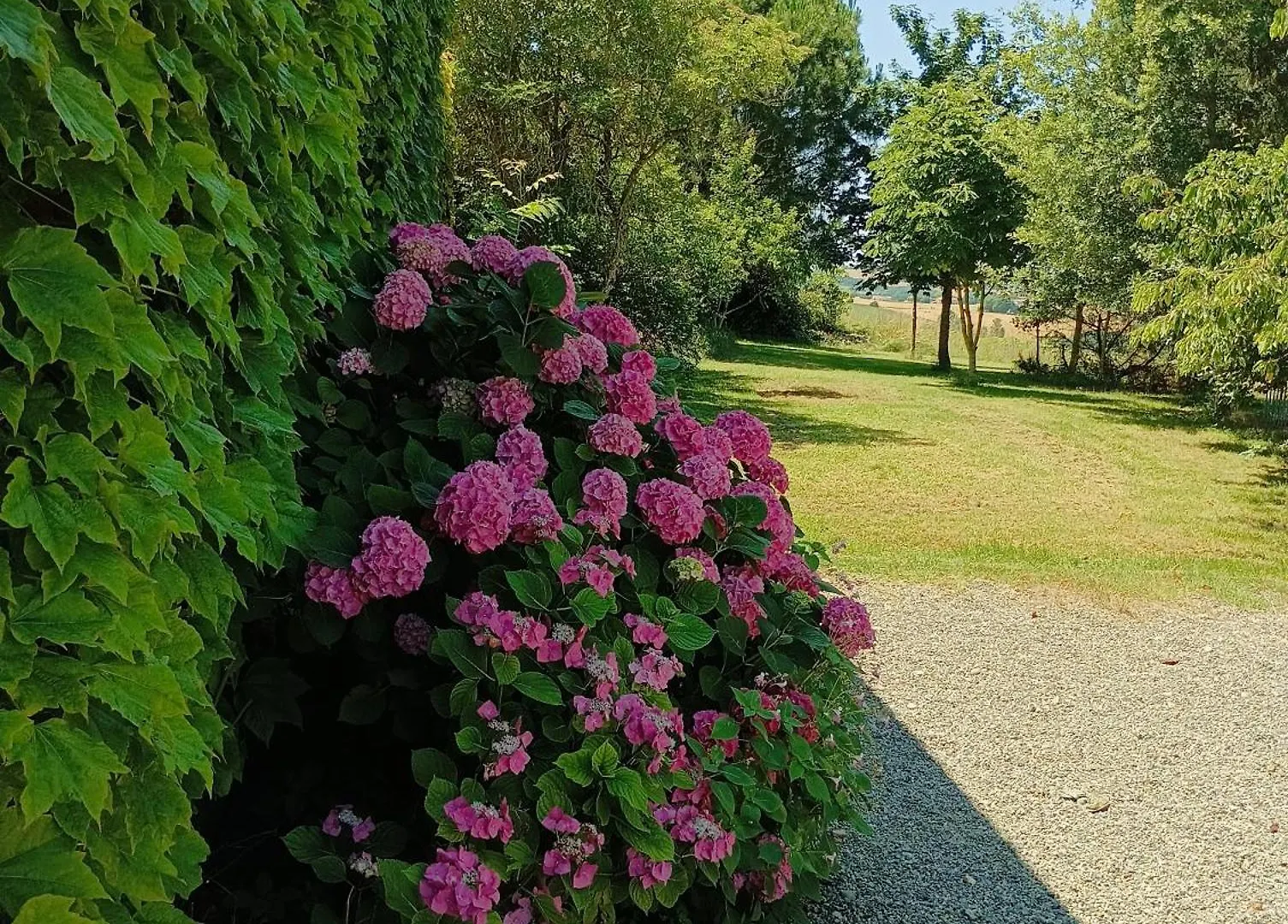 Vakantiehuis L'Eden Des Pyrenees Villa Lezat-sur-Leze Frankrijk