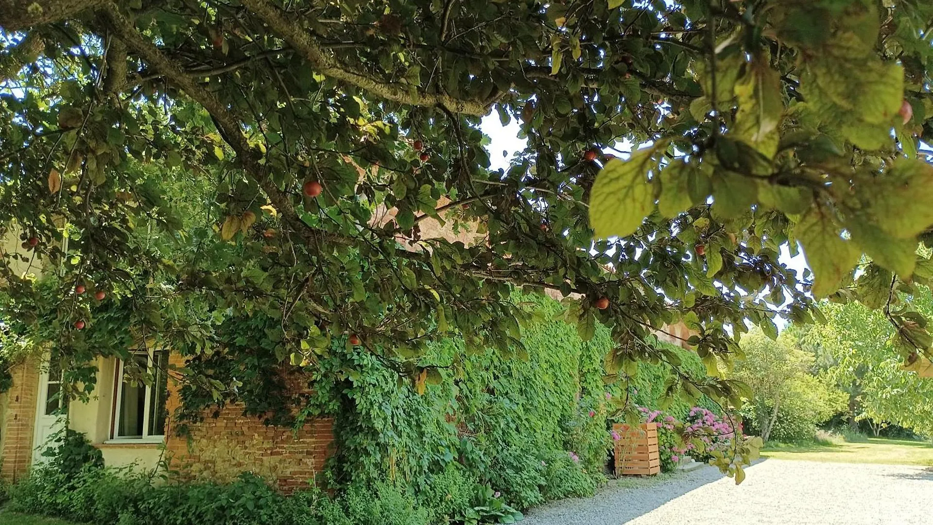 L'Eden Des Pyrenees Villa Lezat-sur-Leze 0*,